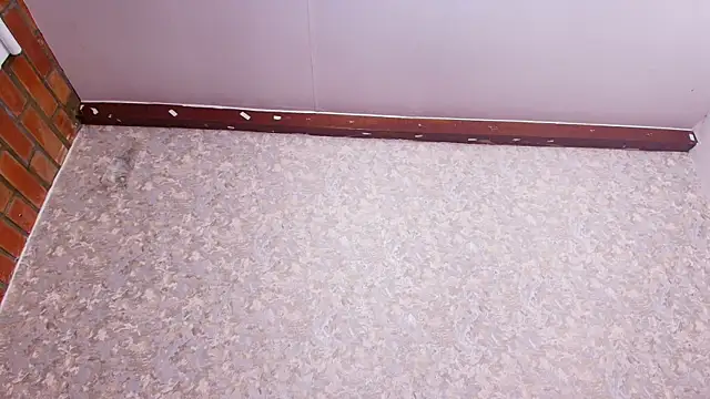 nicol f online show from February 5, 1:26 am