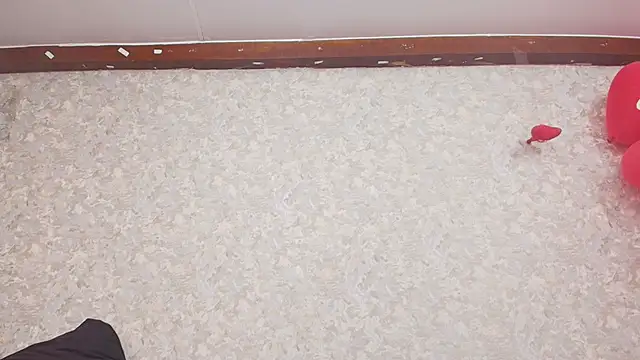 nicol f online show from February 15, 7:17 pm