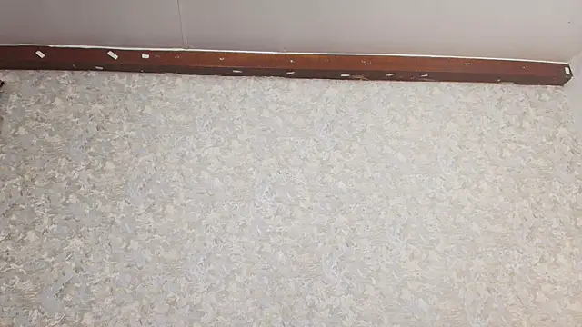 nicol f online show from March 5, 1:31 am