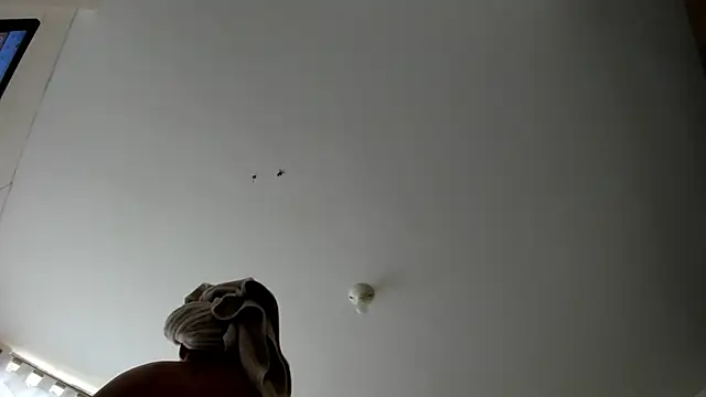 evely coelloo online show from September 9, 9:14 pm