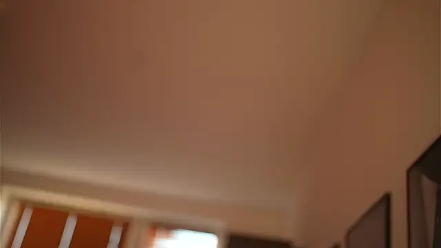 Bellis Perenis online show from December 28, 8:37 am