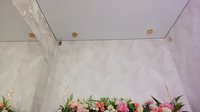 Snapshot of AliceBrayan chatting on December 19, 5:09 pm AliceBrayan online show from December 19, 5:09 pm