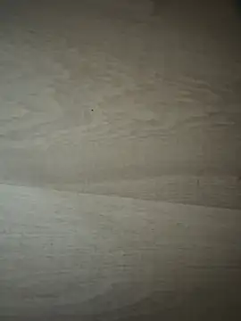 Joanachupa online show from January 18, 12:20 pm