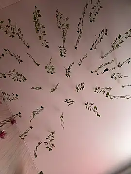 -Sexy Barbie- online show from February 25, 3:31 am