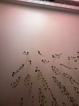 -Sexy Barbie- online show from March 11, 2:43 am