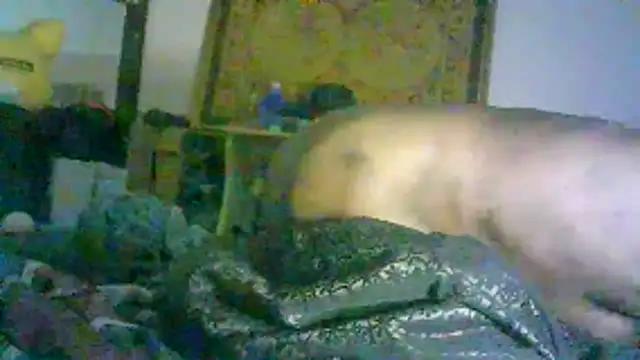 Snapshot of DI4MOND_FIR3 chatting on February 2, 12:48 pm DI4MOND FIR3 online show from February 2, 12:48 pm