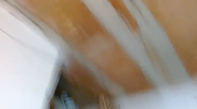 alexxa Rooa online show from February 7, 2:19 am