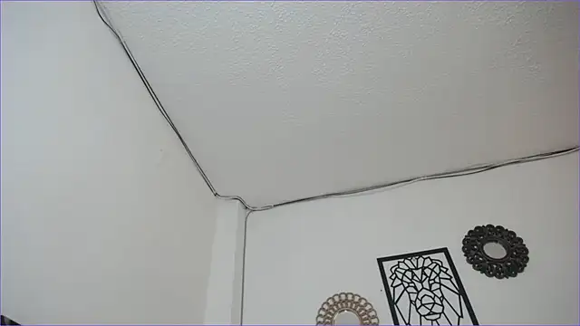 paytonbailey online show from March 4, 5:03 pm