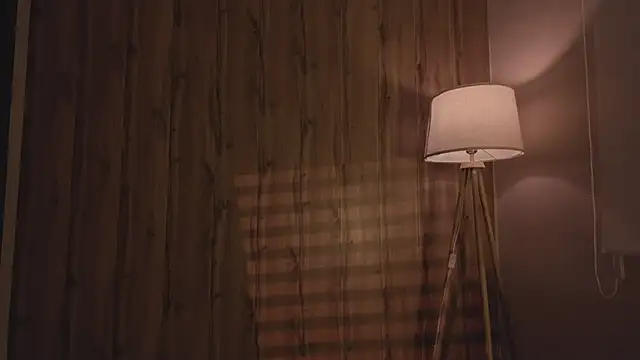 MariMaddison online show from November 11, 8:09 pm