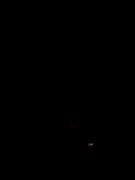 Porco81cazzo online show from February 19, 2:29 am