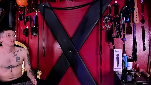 Snapshot of alexa_n_alex chatting on November 4, 7:02 pm alexa n alex online show from November 4, 7:02 pm