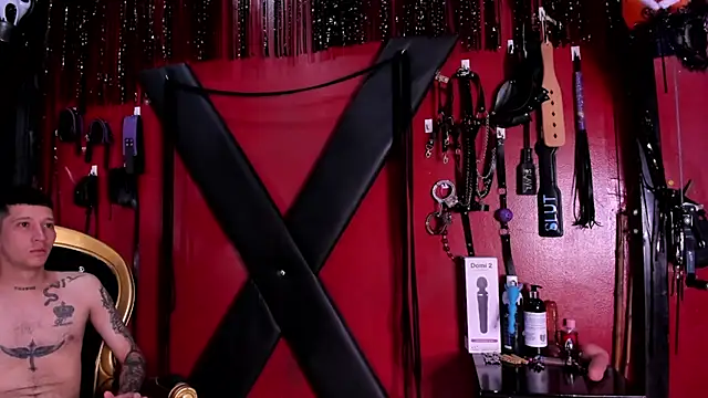 Snapshot of alexa_n_alex chatting on November 6, 7:26 pm alexa n alex online show from November 6, 7:26 pm