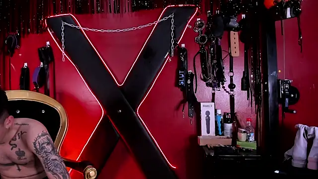 Snapshot of alexa_n_alex chatting on November 18, 8:02 pm alexa n alex online show from November 18, 8:02 pm