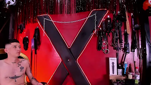 Snapshot of alexa_n_alex chatting on November 26, 8:21 pm alexa n alex online show from November 26, 8:21 pm