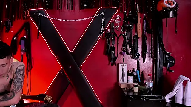 Snapshot of alexa_n_alex chatting on November 29, 8:23 pm alexa n alex online show from November 29, 8:23 pm