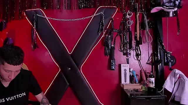 Snapshot of alexa_n_alex chatting on December 22, 8:17 pm alexa n alex online show from December 22, 8:17 pm