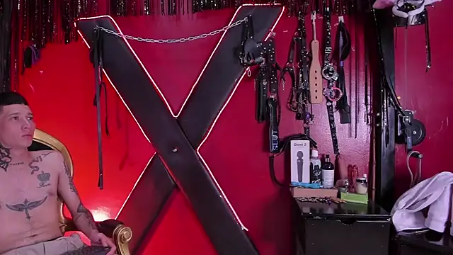 Snapshot of alexa_n_alex chatting on January 6, 8:01 pm alexa n alex online show from January 6, 8:01 pm