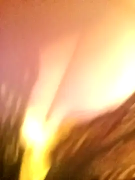 JAWHARA  online show from December 14, 10:03 pm