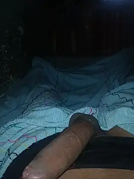 taylorWiiz online show from November 27, 1:57 pm