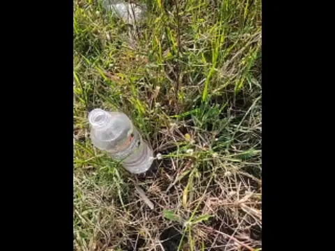 boy BeardGallery online show from November 10, 9:52 am