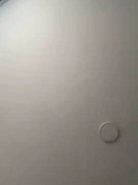 Arilw online show from October 17, 12:08 pm