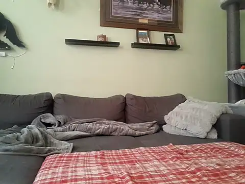 Ryan and Aurora online show from January 15, 8:51 am