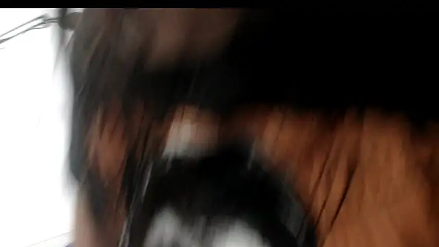 evaleribigtits18 online show from November 24, 7:13 pm