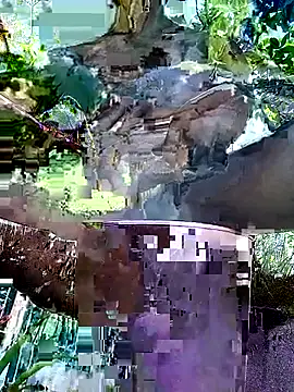 Snapshot of gwadaa9 chatting on December 22, 6:16 pm gwadaa9 online show from December 22, 6:16 pm