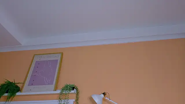 ParisFox  online show from February 21, 10:11 pm