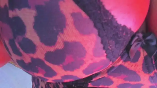 cookplleaser online show from February 20, 1:08 pm