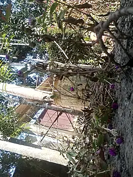 AssamSilchar93 online show from February 7, 6:17 am