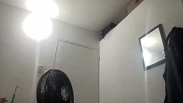 EvaHalsey online show from January 6, 10:45 pm