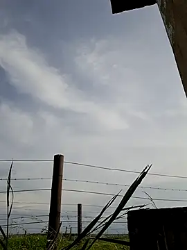 Snapshot of bull_Giant chatting on December 22, 2:49 pm bull Giant online show from December 22, 2:49 pm