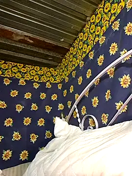 Snapshot of bull_Giant chatting on February 3, 2:47 am bull Giant online show from February 3, 2:47 am