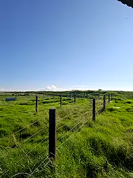 Snapshot of bull_Giant chatting on February 22, 3:03 pm bull Giant online show from February 22, 3:03 pm