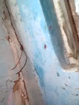 Snapshot of Natasha-In69 chatting on February 6, 12:15 am Natasha-In69 online show from February 6, 12:15 am