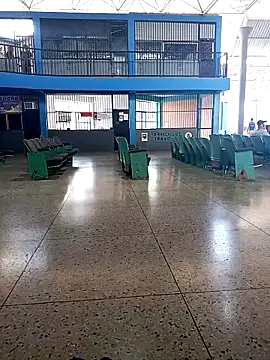 AlkalineCalmness online show from March 24, 2:00 pm