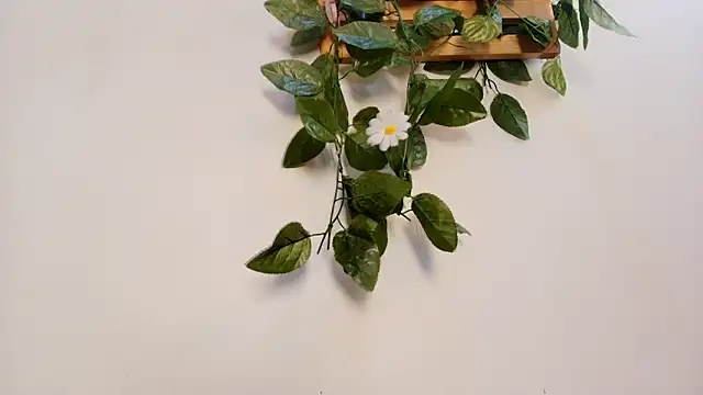 mss samy online show from February 13, 3:13 am