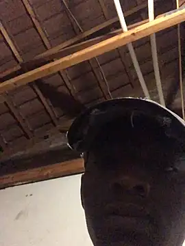 Snapshot of thekidrose chatting on December 2, 5:35 am thekidrose online show from December 2, 5:35 am