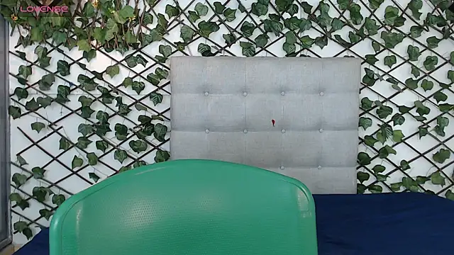 rous-55 online show from February 7, 3:01 am