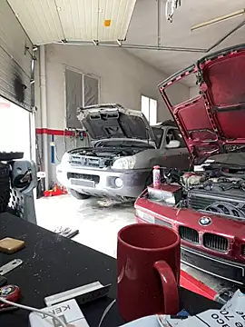 Snapshot of donnuozfutura chatting on February 12, 12:44 pm donnuozfutura online show from February 12, 12:44 pm