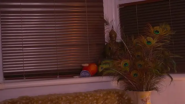 divinelights online show from November 12, 5:02 pm