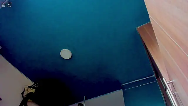 leondevereda online show from January 13, 7:52 pm