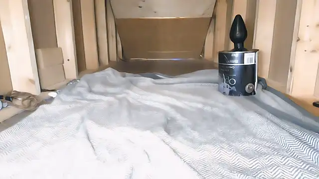 cbtbetaloser online show from November 8, 4:56 am