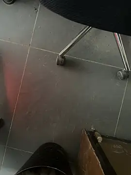 Snapshot of homidor chatting on February 5, 1:54 pm homidor online show from February 5, 1:54 pm