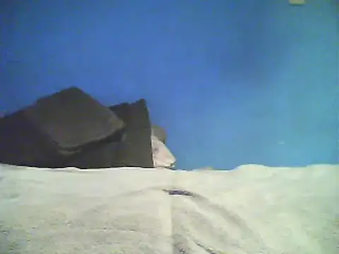 Snapshot of Vago745 chatting on December 2, 10:50 am Vago745 online show from December 2, 10:50 am