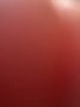 portugadopau online show from September 10, 4:07 pm