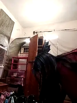 SINUECASTILLO online show from December 12, 7:41 am