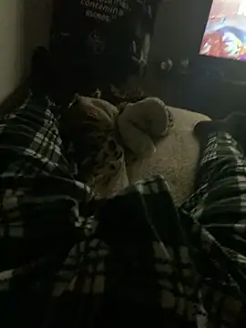 perrrotegrande online show from January 13, 10:09 am