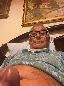 4n4l1zz4m1 online show from November 1, 4:47 am